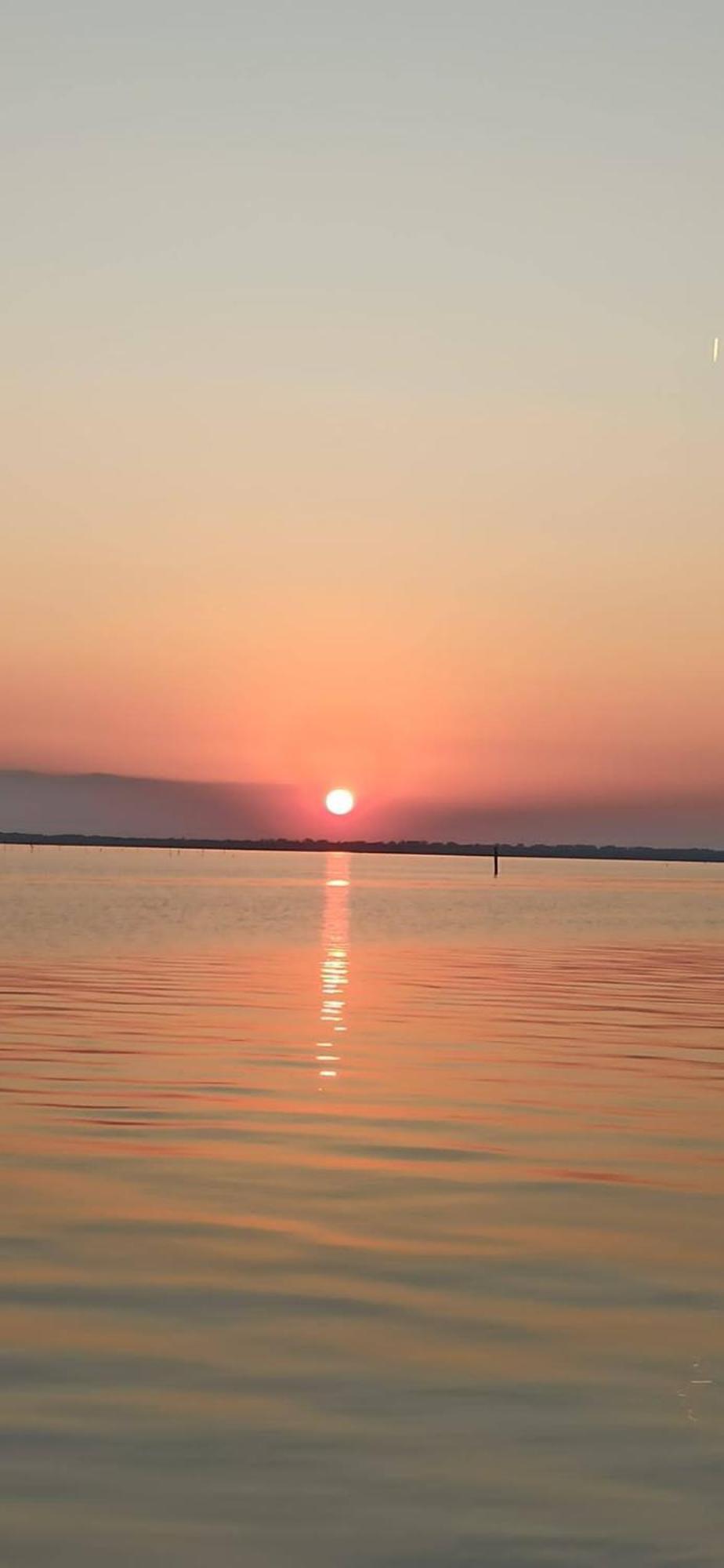شقة Mare Pineta ليدو دي فولانو المظهر الخارجي الصورة